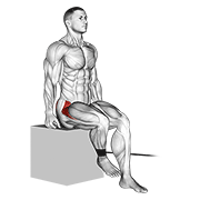 Animación de band seated hip internal rotation