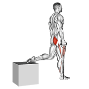 Animación de band single leg split squat
