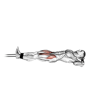 Animación de band lying straight leg raise