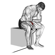 Animación de band wrist curl