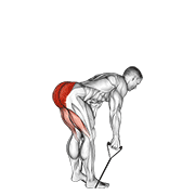 Animación de band straight back stiff leg deadlift