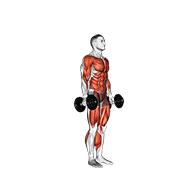Animación de dumbbell burpee