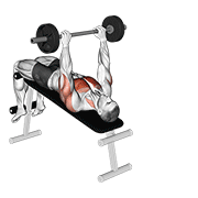 Animación de barbell decline pullover