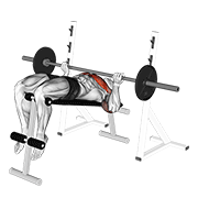 Animación de barbell reverse grip decline bench press