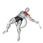 Animación de cable one arm fly on exercise ball