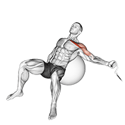 Animación de cable one arm incline fly on exercise ball