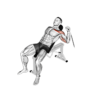 Animación de cable one arm incline press