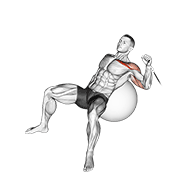 Animación de cable one arm incline press on exercise ball