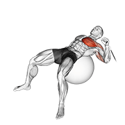 Animación de cable one arm press on exercise ball