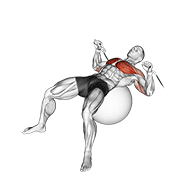 Animación de cable press on exercise ball
