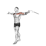 Animación de cable upper chest crossovers
