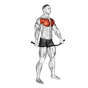 Animación de chest and front of shoulder stretch