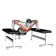 Animación de drop push up