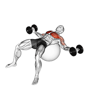 Animación de dumbbell fly on exercise ball