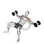 Animación de dumbbell incline fly on exercise ball