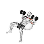 Animación de dumbbell incline press on exercise ball