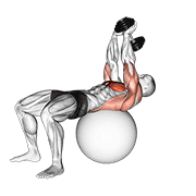 Animación de dumbbell lying pullover on exercise ball