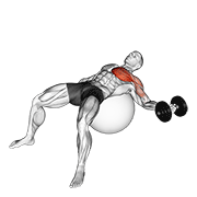 Animación de dumbbell one arm chest fly on exercise ball