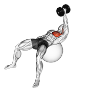 Animación de dumbbell one arm fly on exercise ball