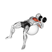 Animación de dumbbell one arm press on exercise ball