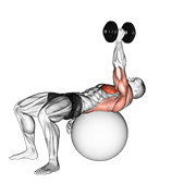 Animación de dumbbell one arm pullover on exercise ball
