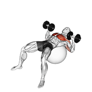 Animación de dumbbell press on exercise ball