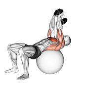 Animación de dumbbell pullover on exercise ball