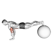 Animación de exercise ball pike push up