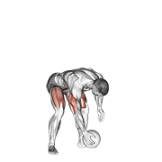 Animación de medicine ball chest push from 3 point stance