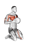 Animación de medicine ball chest push single response
