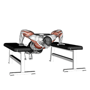 Animación de weighted drop push up