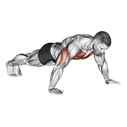 Animación de wide hand push up