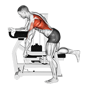 Animación de lever unilateral row