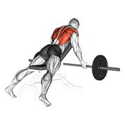 Animación de barbell reverse grip incline bench row