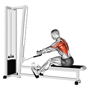 Animación de cable rope elevated seated row