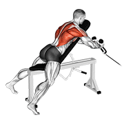 Animación de cable rope extension incline bench row