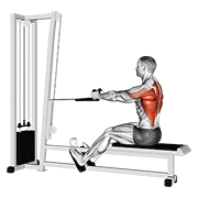 Animación de cable rope seated row
