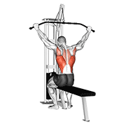 Animación de cable wide grip rear pulldown behind neck