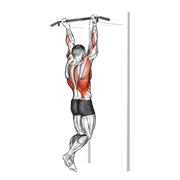 Animación de chin-up