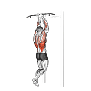 Animación de close grip chin-up