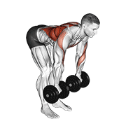 Animación de dumbbell palm rotational bent over row