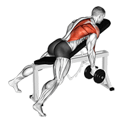 Animación de dumbbell reverse grip incline bench one arm row
