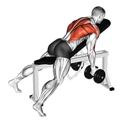 Animación de dumbbell reverse grip incline bench two arm row