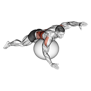 Animación de exercise ball alternating arm ups