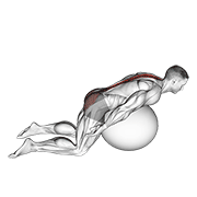 Animación de exercise ball back extension with arms extended