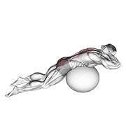 Animación de exercise ball back extension with hands behind head
