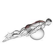 Animación de exercise ball back extension with knees off ground