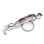 Animación de exercise ball back extension with rotation