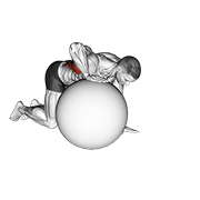 Animación de exercise ball lat stretch