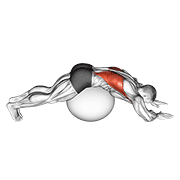 Animación de exercise ball lower back stretch (pyramid)